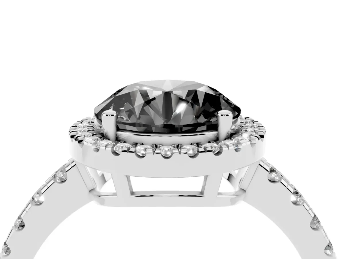 Fancy Black Round Cut Diamond Halo Ring with Pavé Band and Four-Prong Setting White gold