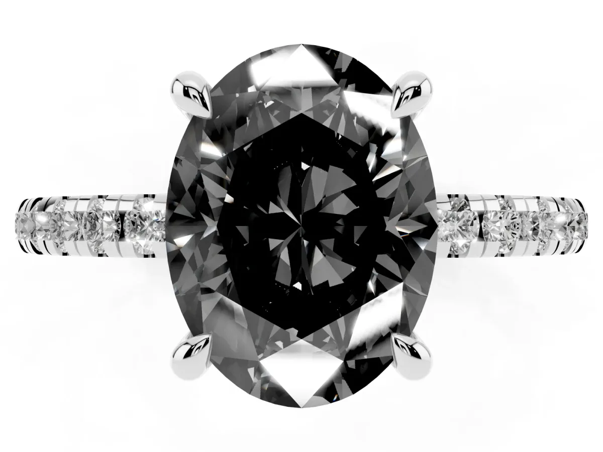 Fancy Black Oval Cut Diamond Brilliant Solitaire Ring with Pavé Band and Four-Prong Setting White gold