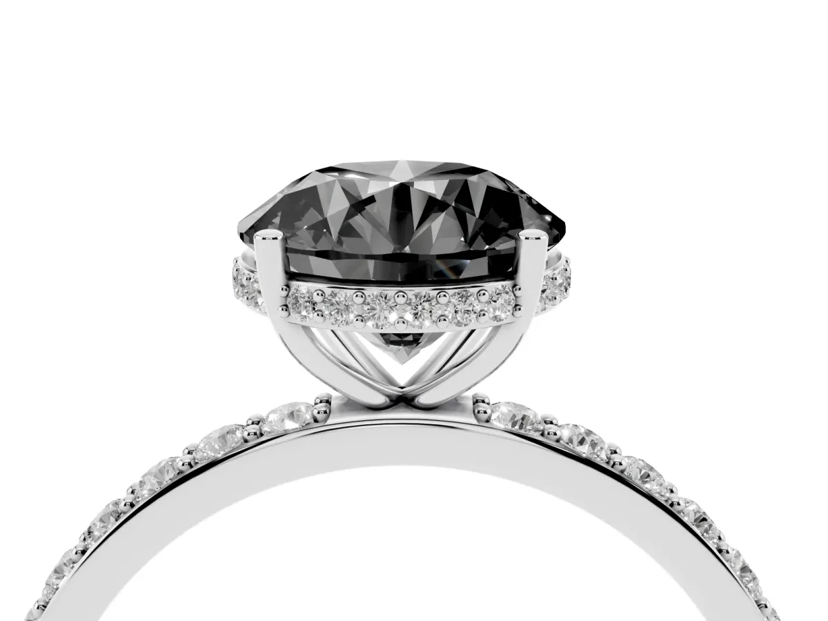 Fancy Black Round Cut Diamond Solitaire Ring with Pavé Band and Hidden Halo Silver