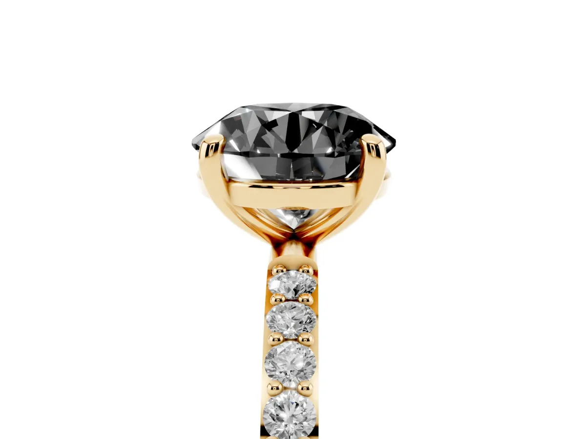 Fancy Black Round Cut Diamond Solitaire Ring with Round Pavé Band and Prong Setting Yellow gold