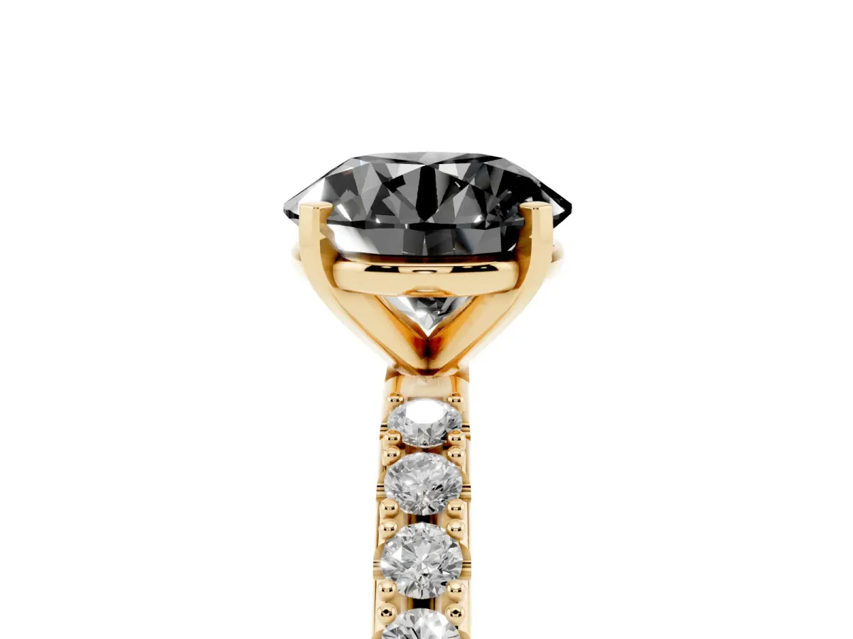 Fancy Black Round Cut Diamond Solitaire Pavé Band with Four-Prong Setting Yellow gold