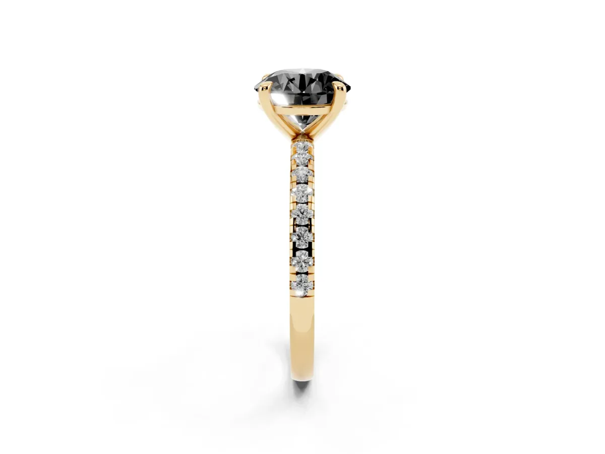 Fancy Black Round Cut Diamond Brilliant Solitaire Ring with Pavé Band and Four-Prong Setting Yellow gold