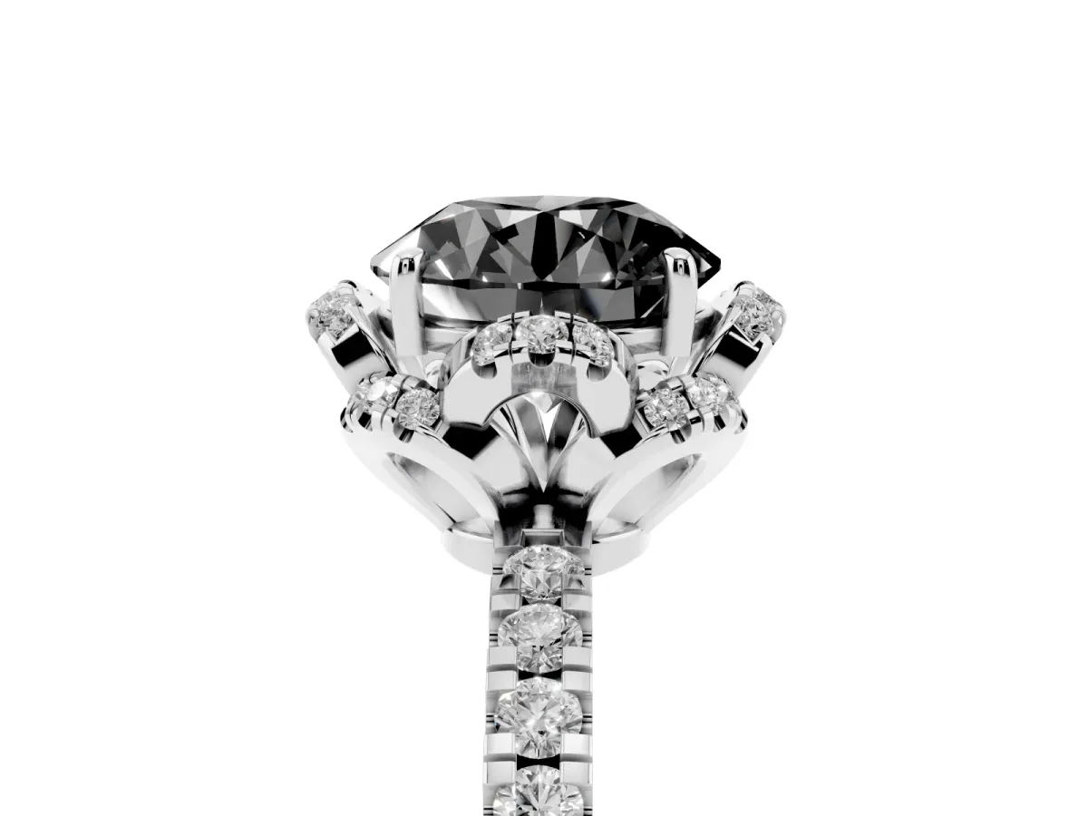 Fancy Black Round Cut Diamond Halo Pave Band with Four-Prong Setting White gold