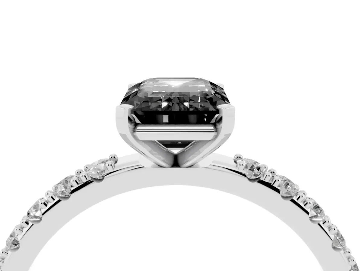 Fancy Black Emerald Cut Diamond Solitaire Pavé Band with Four-Prong Setting Platinum