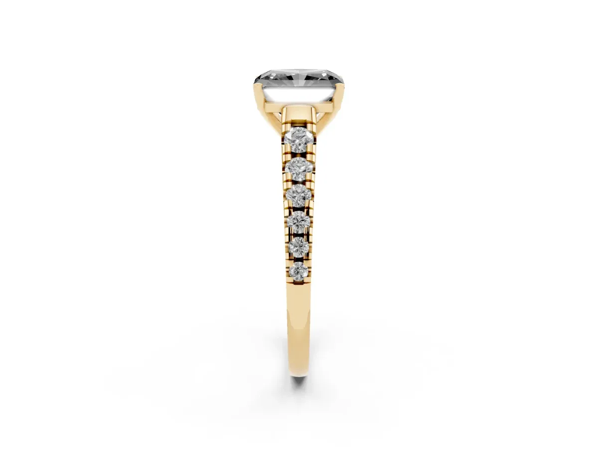 Fancy Black Radiant Cut Diamond Cathedral Solitaire Ring with Round Pavé Band Yellow gold