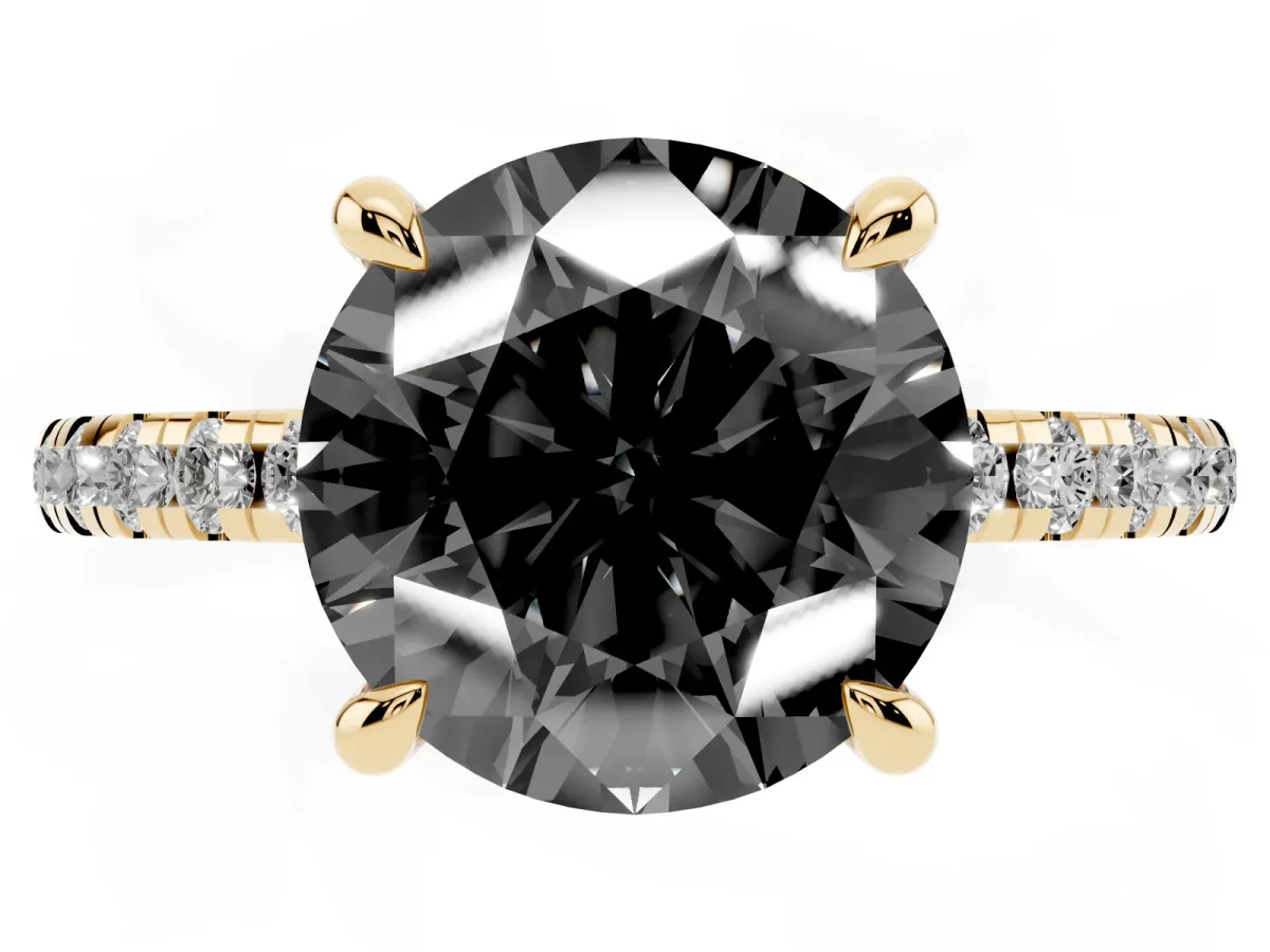 Fancy Black Round Cut Diamond Brilliant Solitaire Ring with Pavé Band and Four-Prong Setting Yellow gold