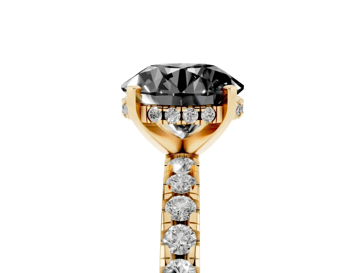 Fancy Black Round Cut Diamond Solitaire Ring with Round Pavé Band and Four-Prong Setting Yellow gold