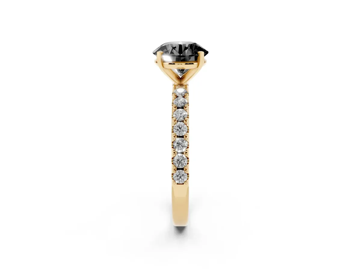 Fancy Black Round Cut Diamond Solitaire Pavé Band with Four-Prong Setting Yellow gold