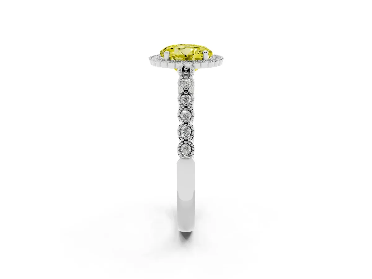 Fancy Yellow Round Cut Cut Halo Pavé Solitaire Ring with Milgrain Band White gold