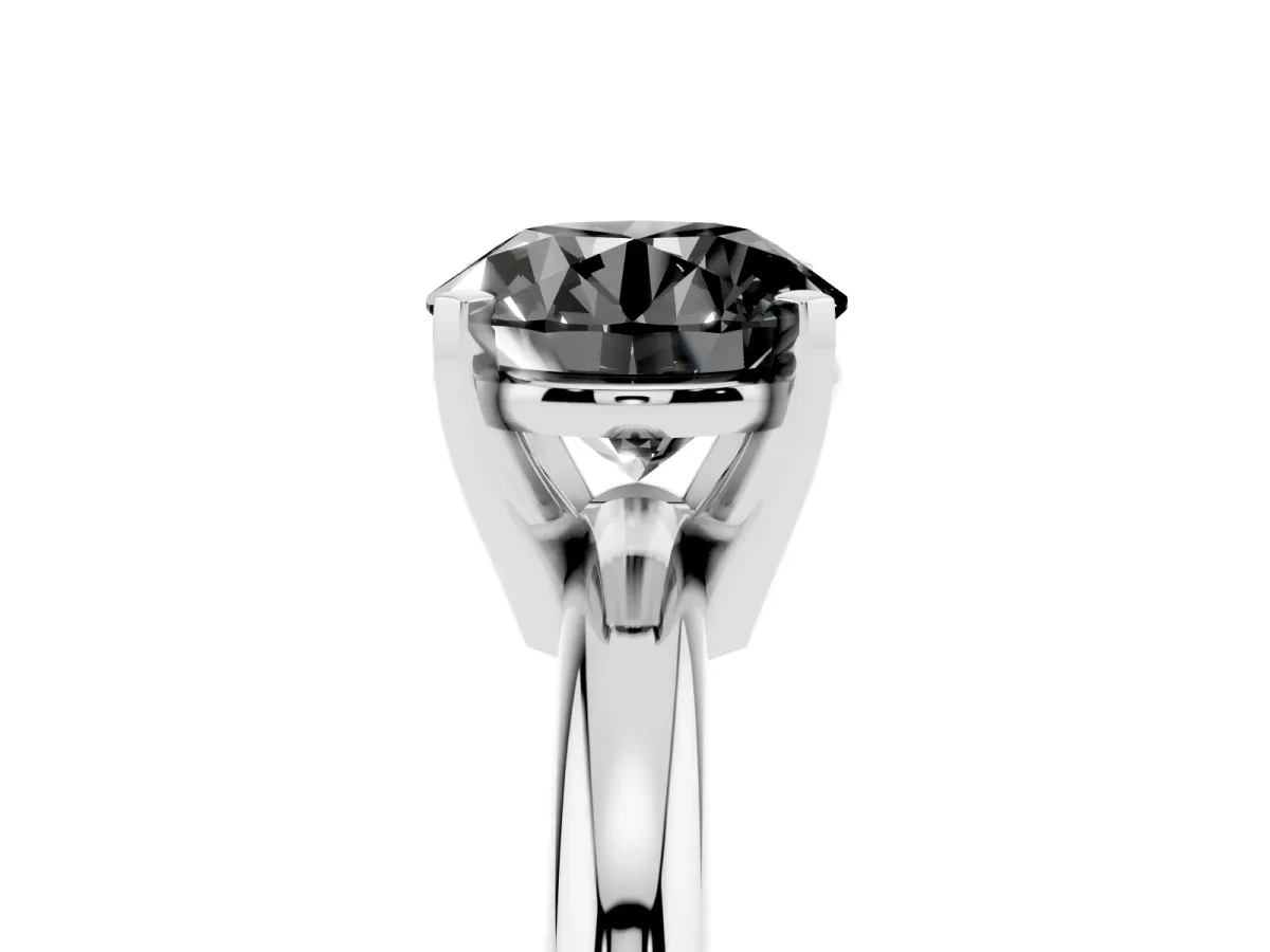 Fancy Black Round Cut Diamond Solitaire Engagement Ring with Round Band and Four-Prong Setting Platinum