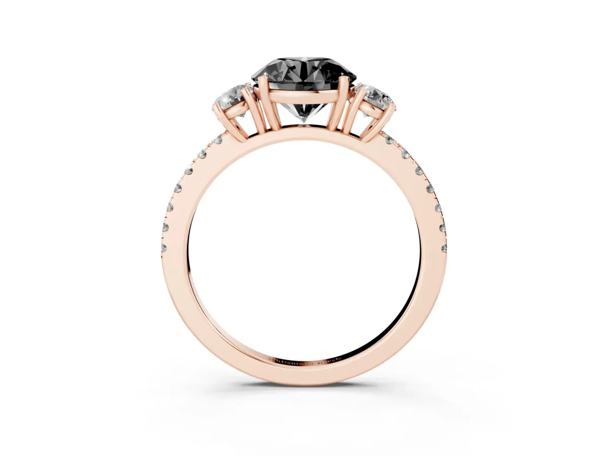 Fancy Black Three-Stone Round Cut Cut Diamond Pavé Band with Prong Setting Rose gold