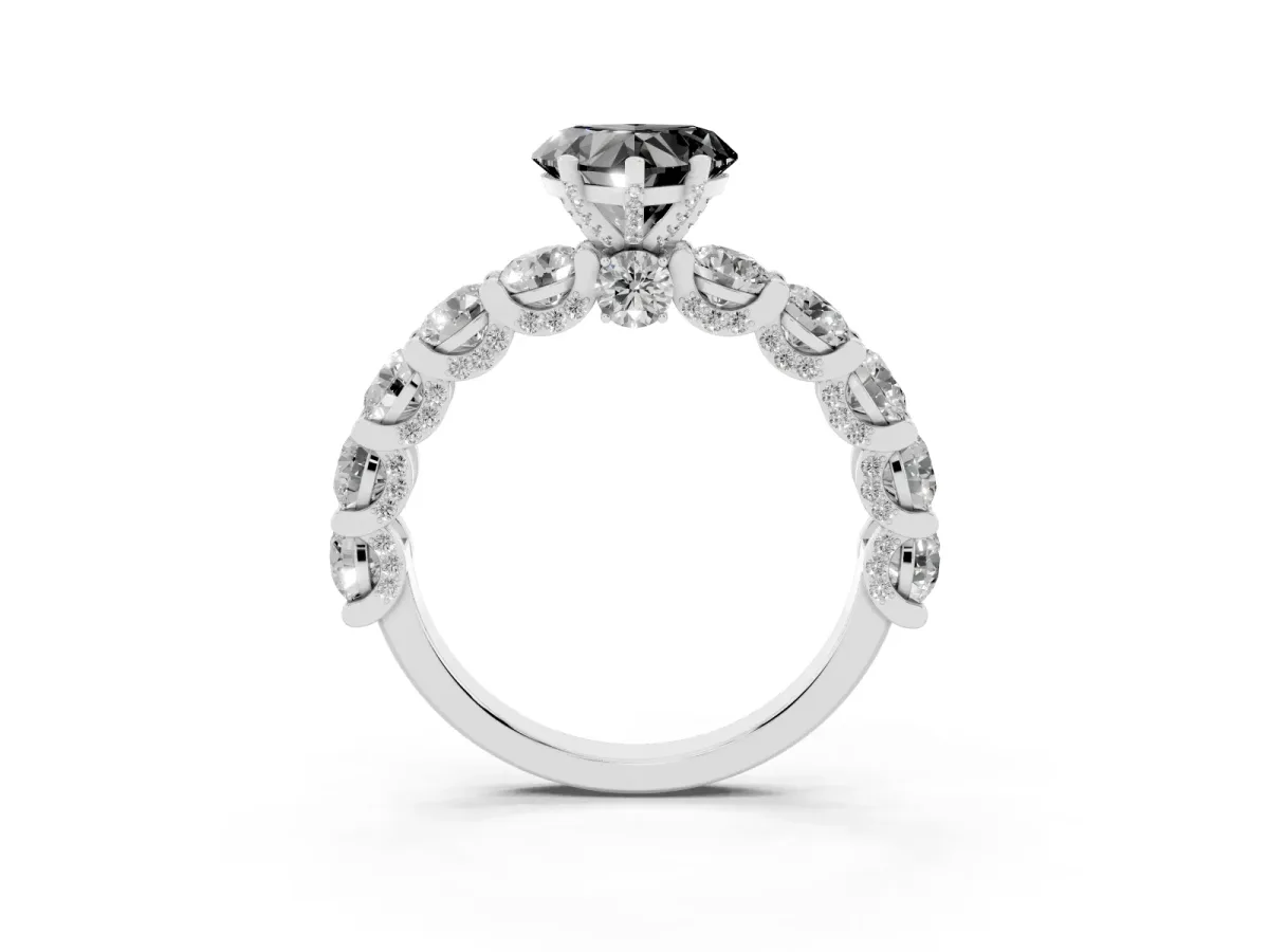 Fancy Black Heart Cut Diamond Side Stone Engagement Ring with Four-Prong Setting Silver