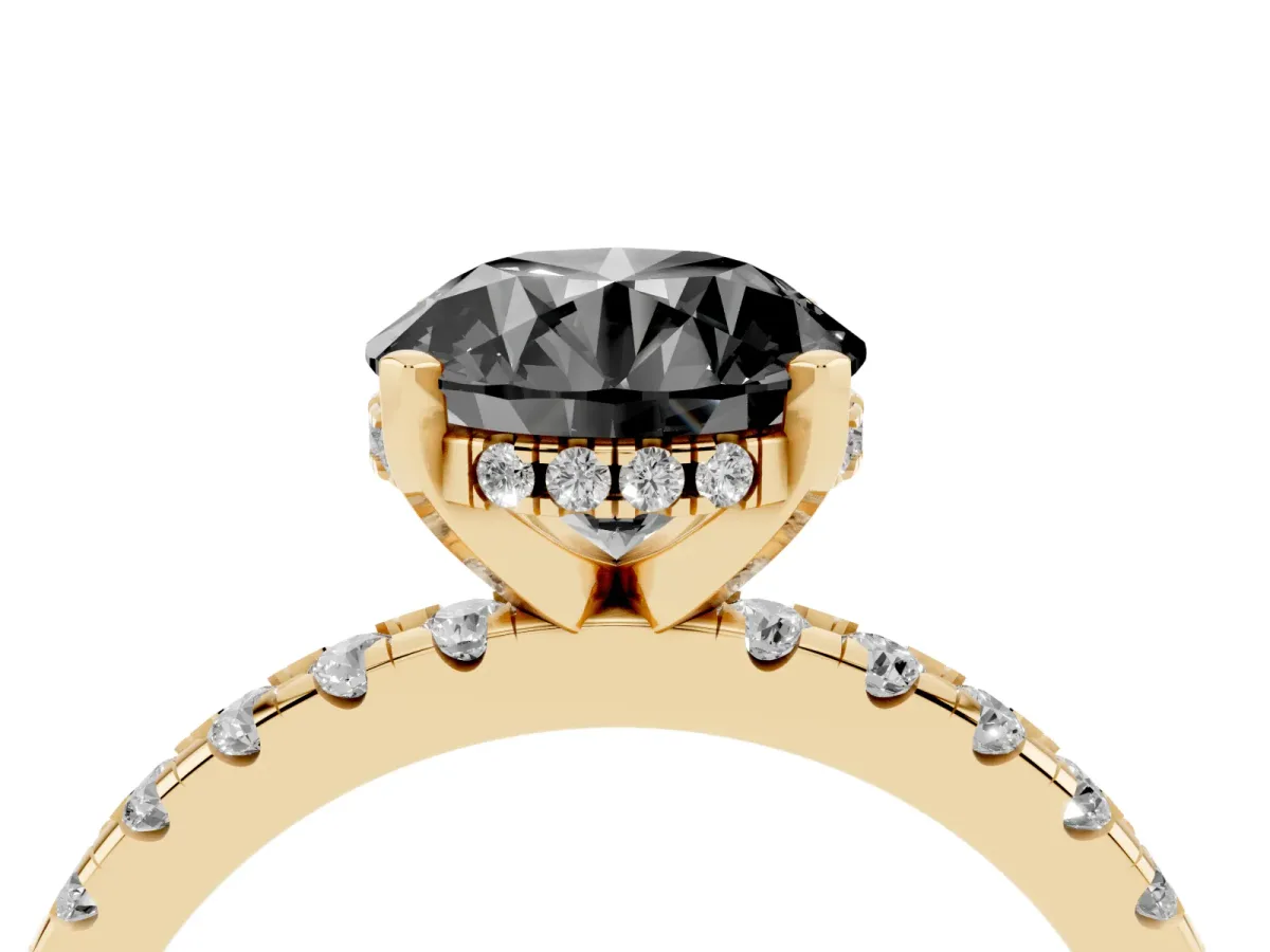 Fancy Black Round Cut Diamond Solitaire Ring with Round Pavé Band and Four-Prong Setting Yellow gold