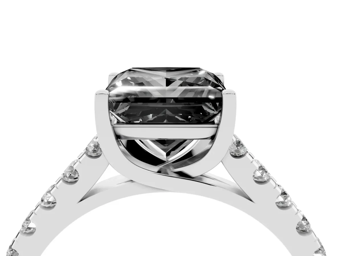 Fancy Black Princess Cut Diamond Pavé Band Solitaire Ring with Prong Setting Platinum