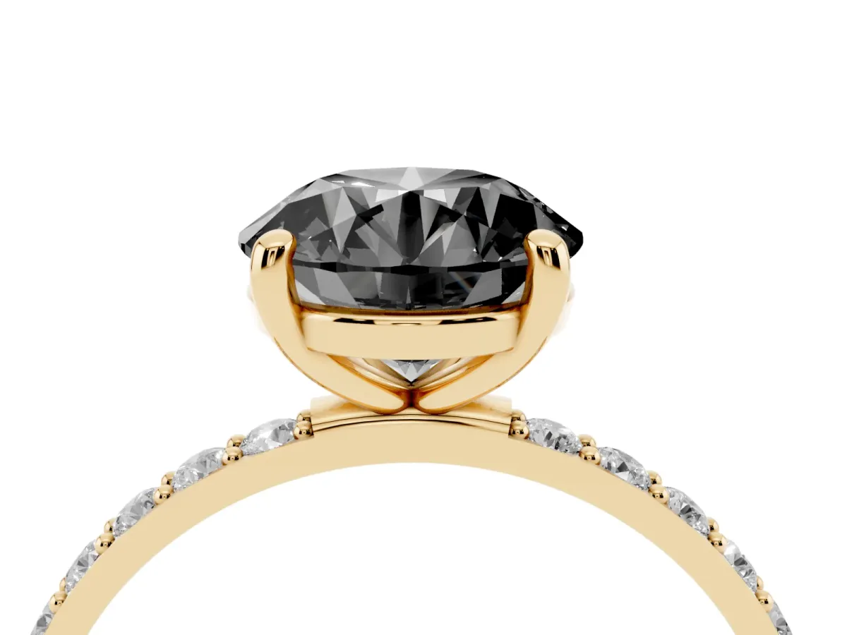 Fancy Black Round Cut Diamond Solitaire Ring with Round Pavé Band and Prong Setting Yellow gold