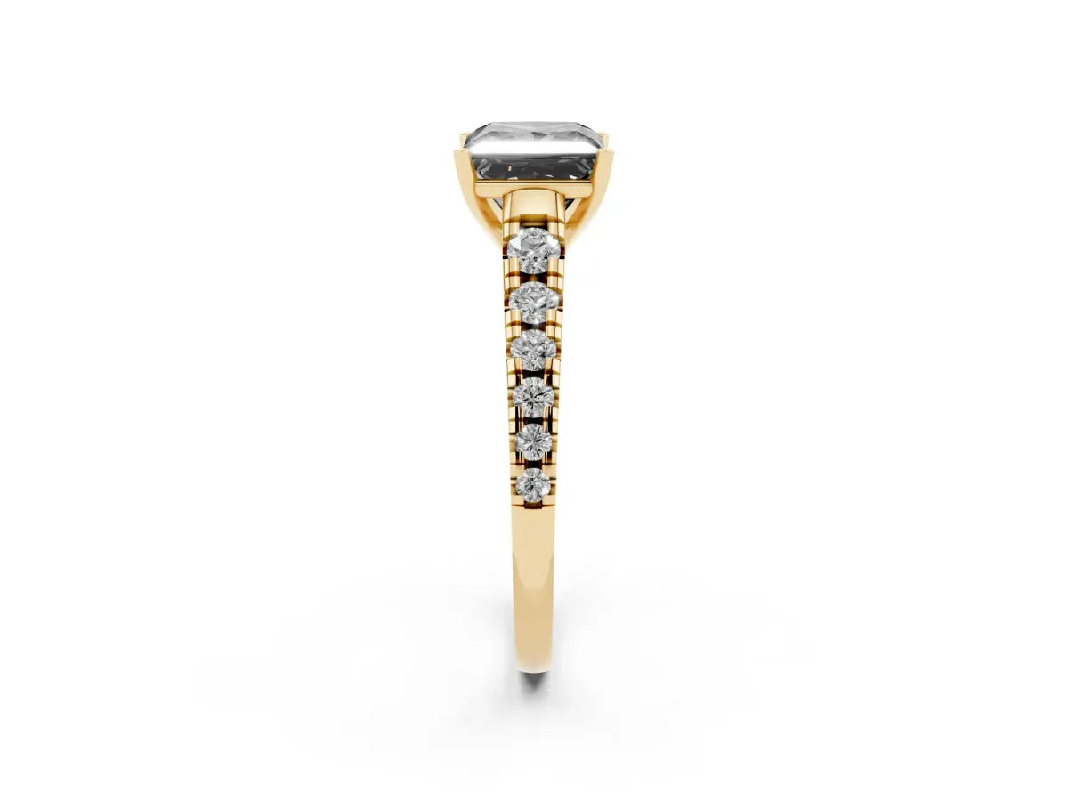 Fancy Black Princess Cut Diamond Cathedral Solitaire Ring with Round Pavé Band Yellow gold