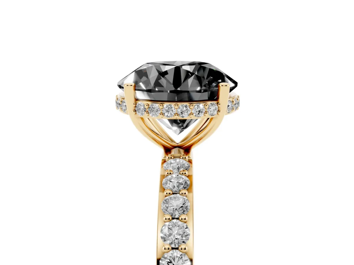 Fancy Black Round Cut Diamond Solitaire Ring with Pavé Band and Hidden Halo Yellow gold