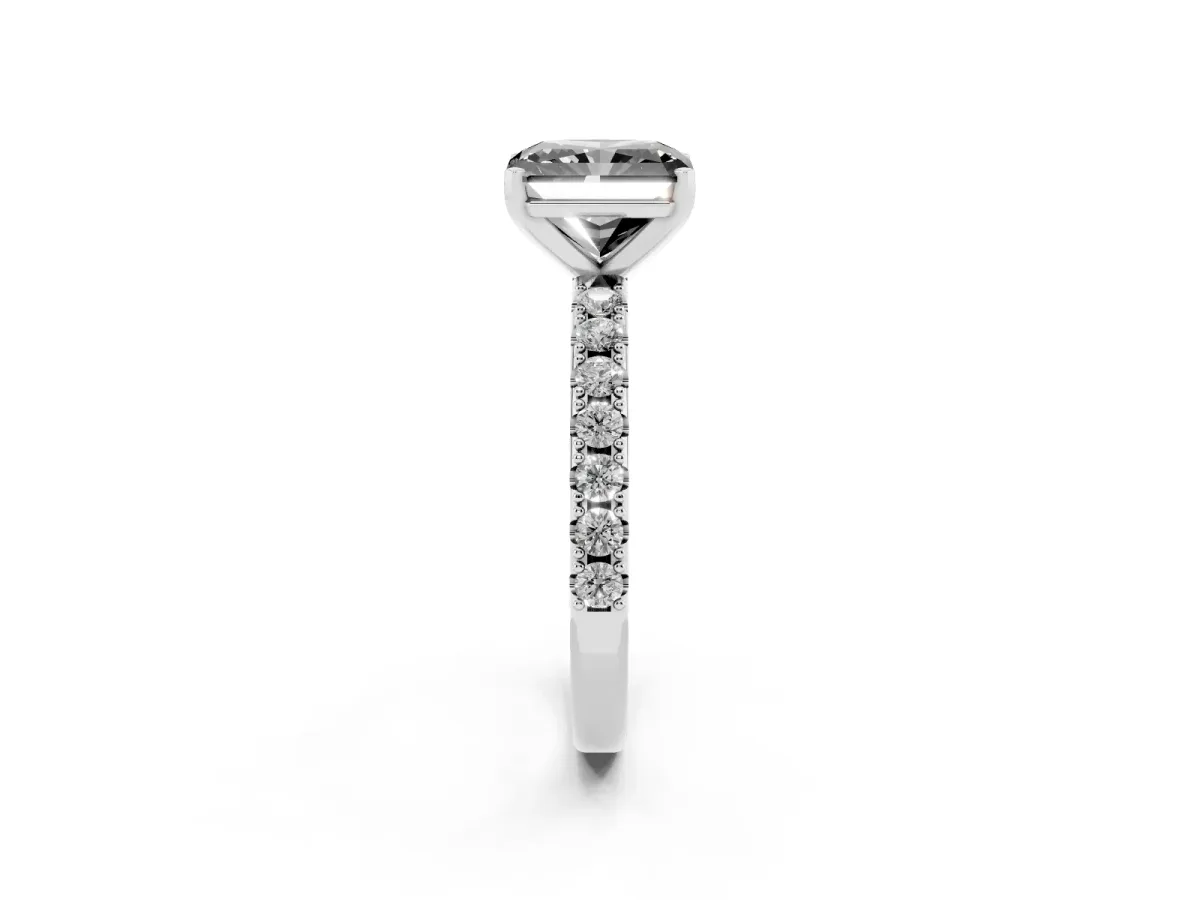 Fancy Black Radiant Cut Diamond Solitaire Pavé Band with Four-Prong Setting Silver