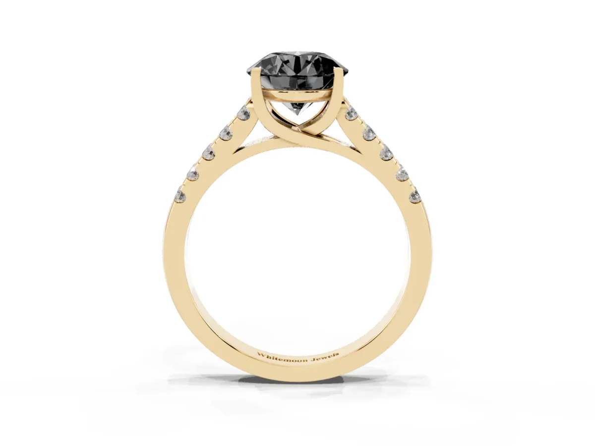 Fancy Black Round Cut Diamond Pavé Band Solitaire Ring with Prong Setting Yellow gold
