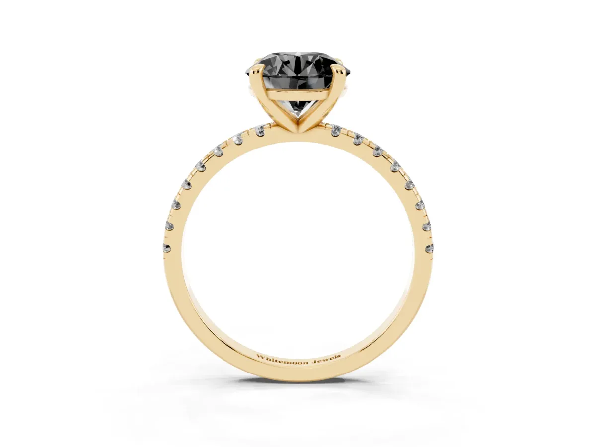 Fancy Black Round Cut Diamond Brilliant Solitaire Ring with Pavé Band and Four-Prong Setting Yellow gold