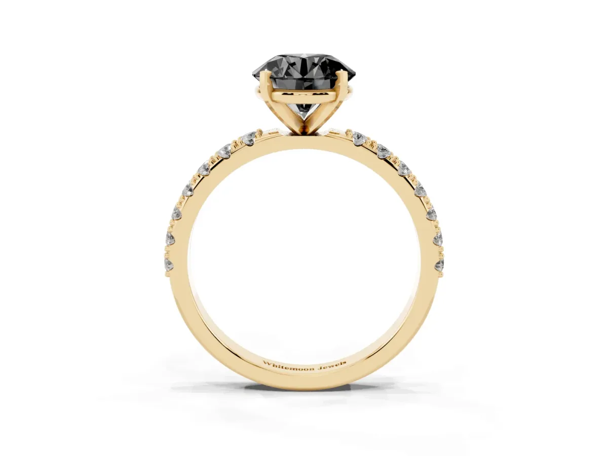 Fancy Black Round Cut Diamond Solitaire Pavé Band with Four-Prong Setting Yellow gold