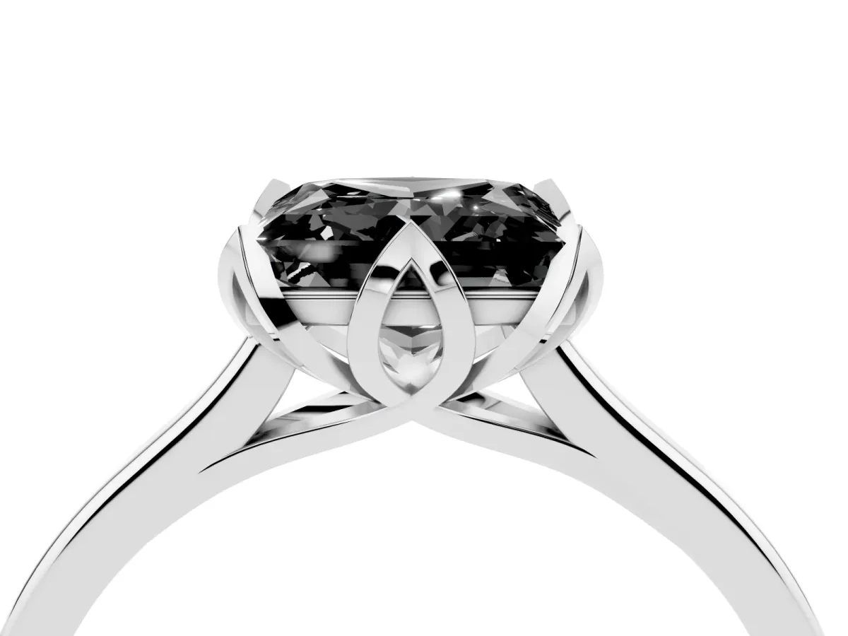 Fancy Black Princess Cut Diamond Solitaire Ring with Flower Prong Setting and Classic Band Silver