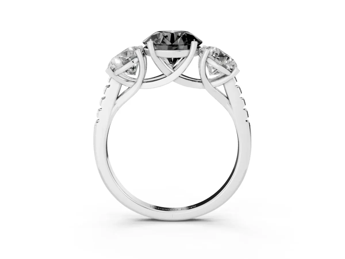 Fancy Black Three-Stone Round Cut Diamond Ring with Round Pavé Band and Prong Setting Silver