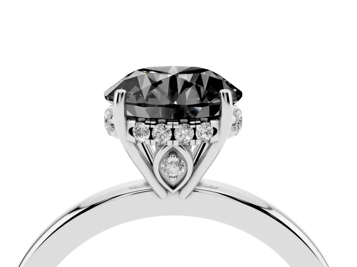 Fancy Black Round Cut Solitaire Diamond Ring with Prong Setting and Plain Band Silver