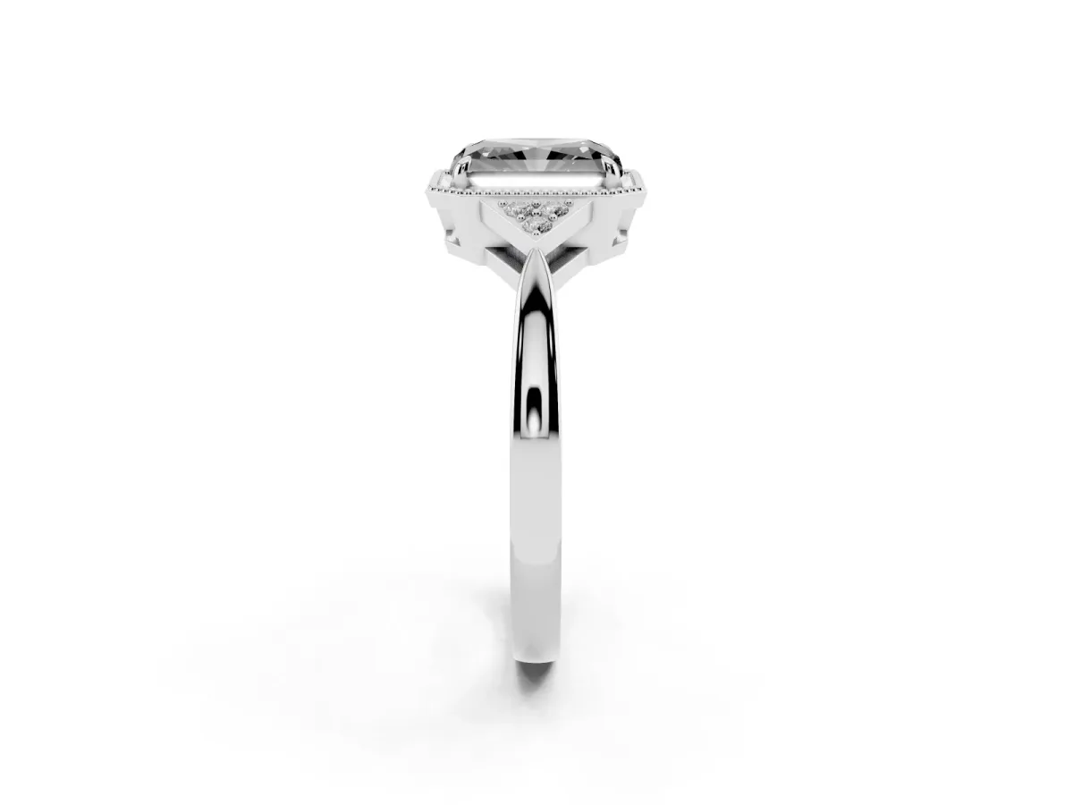 Fancy Black Hexagonal Halo Radiant Cut Diamond Solitaire with Pavé Band and Four-Prong Setting White gold