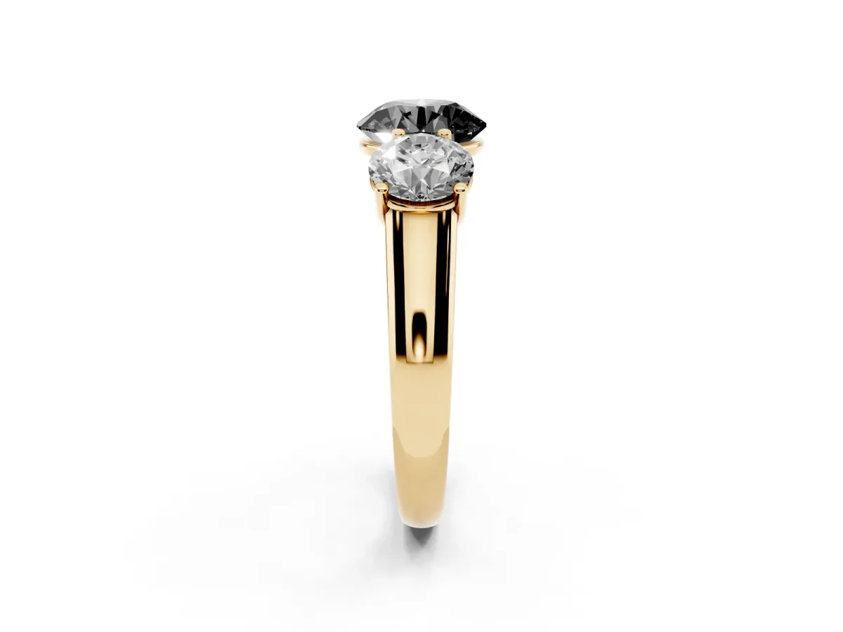 Fancy Black Round Cut Three-Stone Diamond Ring with Prong Setting on a Classic Band Yellow gold