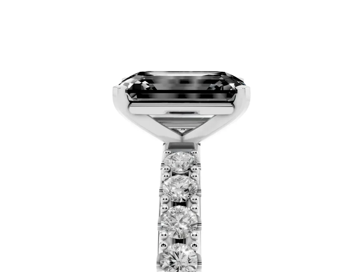 Fancy Black Emerald Cut Diamond Solitaire Pavé Band with Four-Prong Setting Platinum
