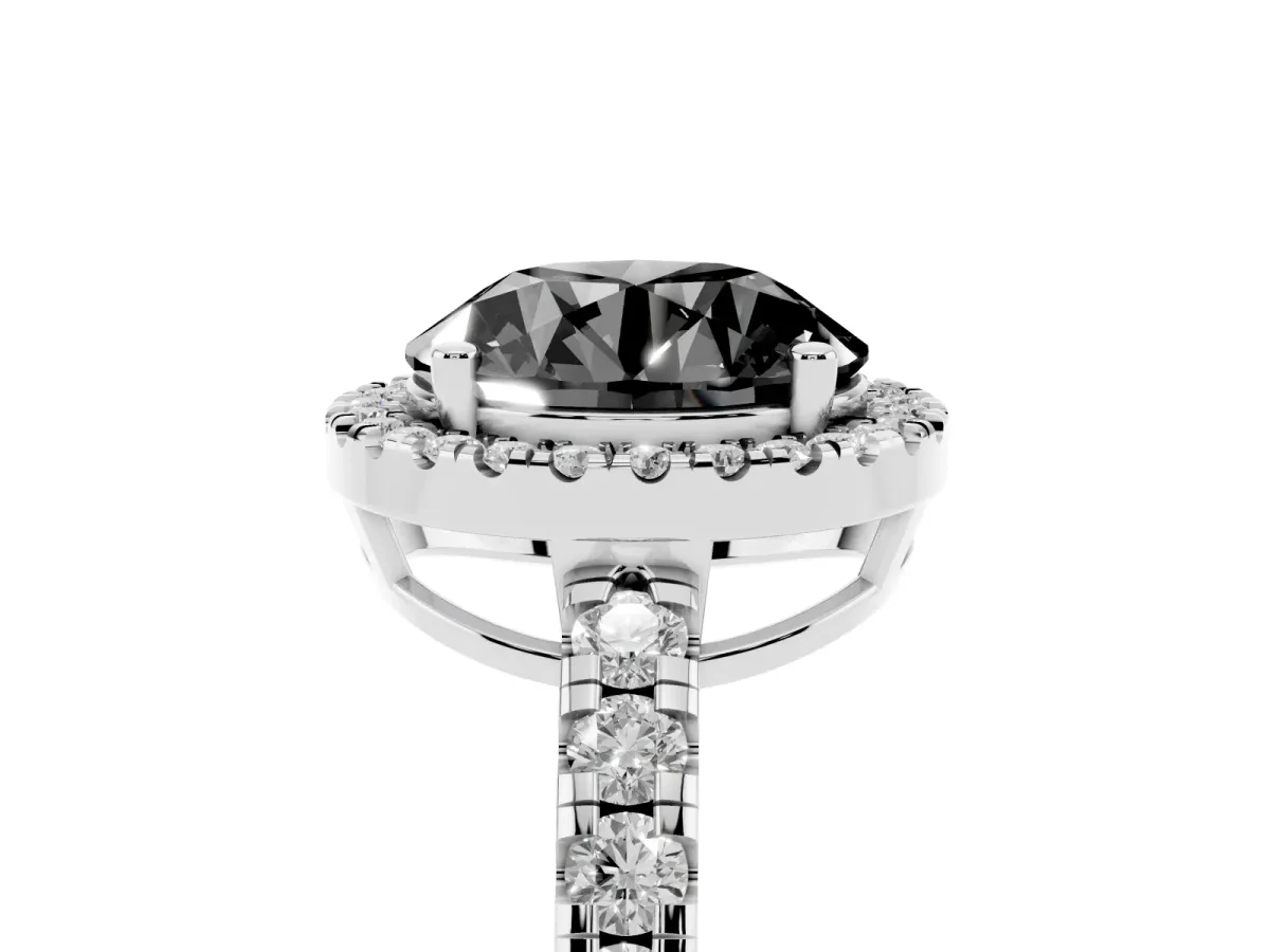 Fancy Black Round Cut Diamond Halo Ring with Pavé Band and Four-Prong Setting White gold