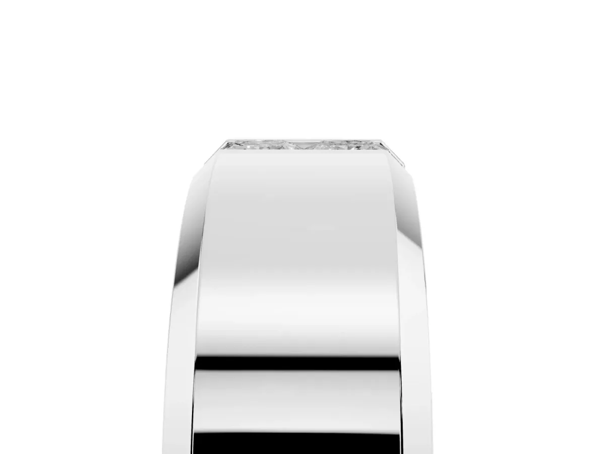 Princess Diamond Two-Stone Mens Band Platinum