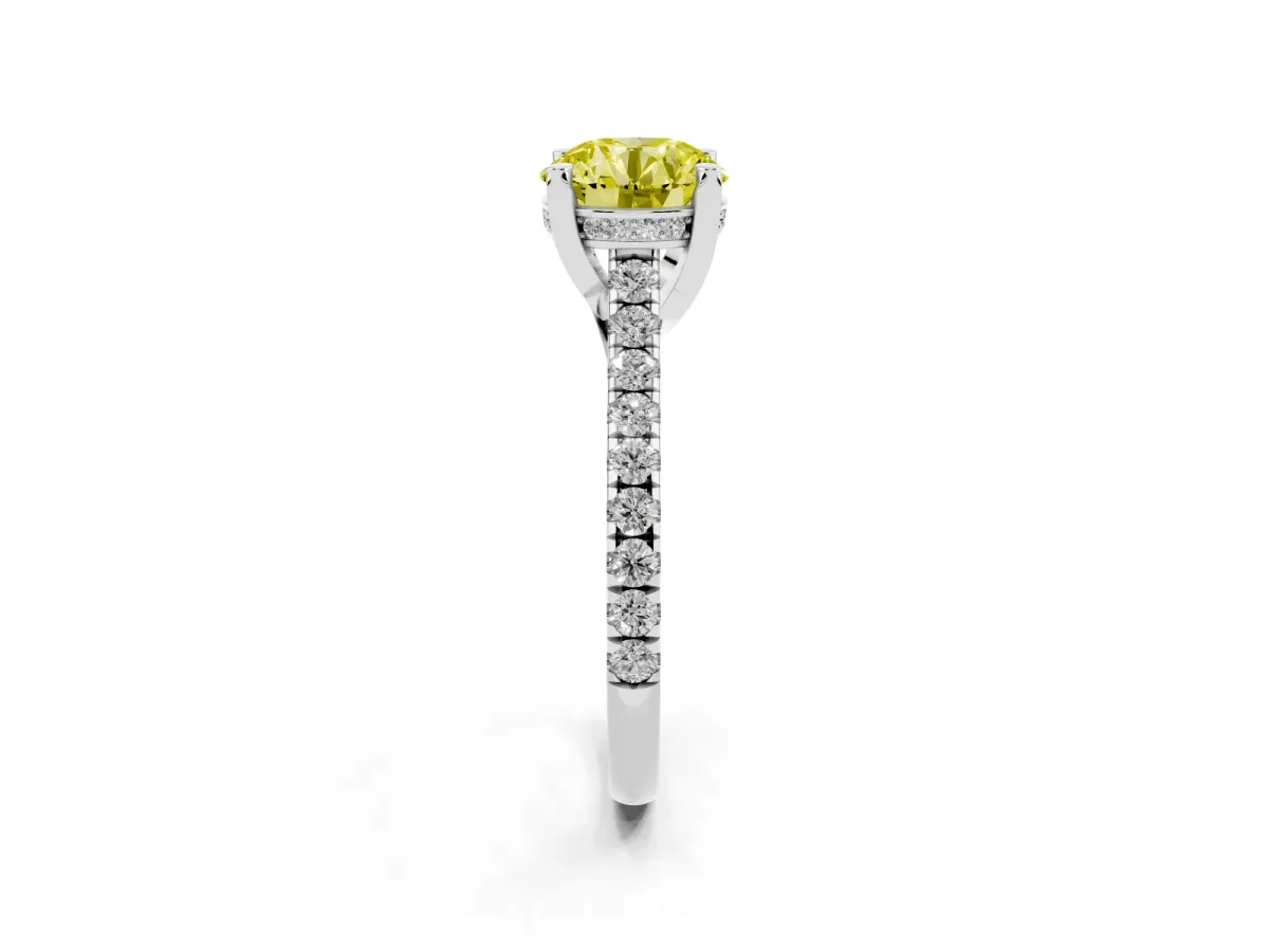 Fancy Yellow Round Cut Brilliant Diamond Solitaire with Pavé Band and Four-Prong Setting White gold