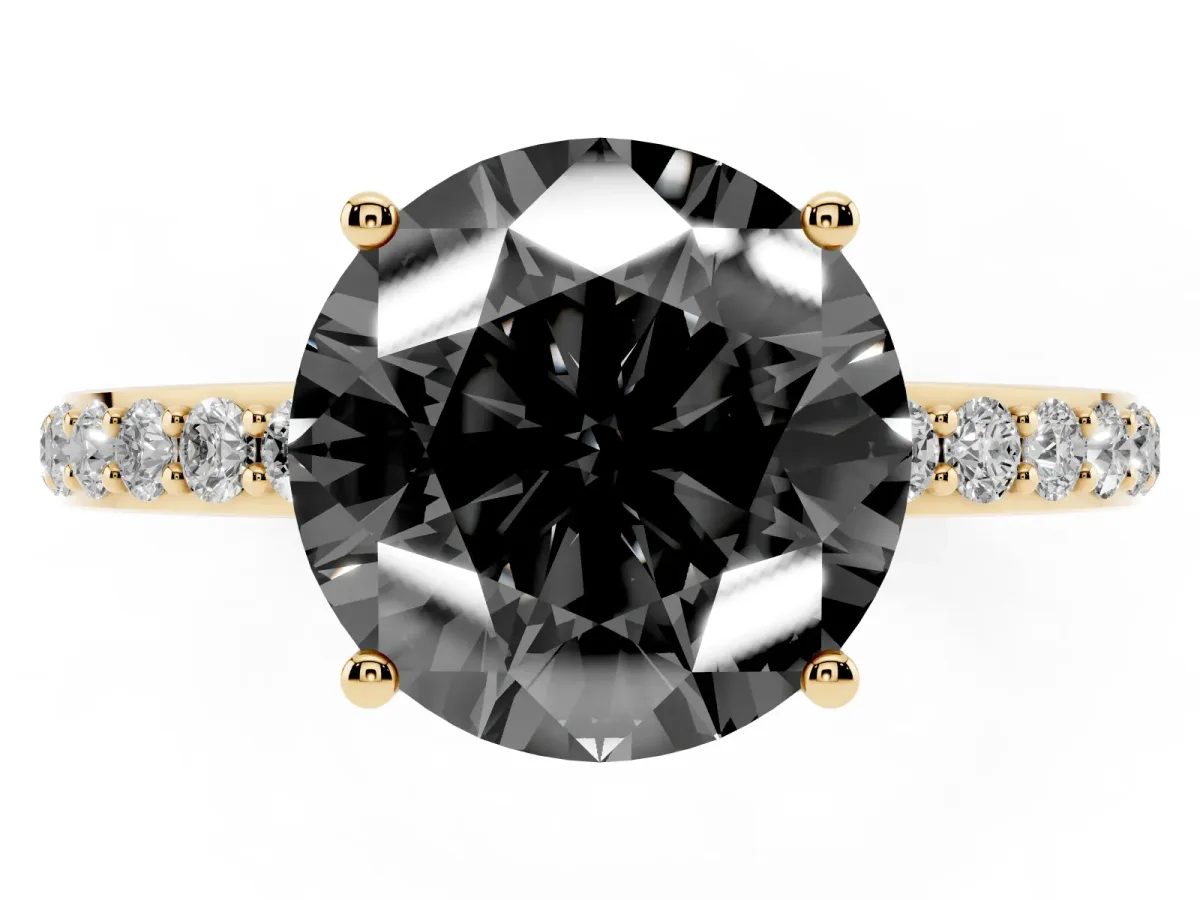Fancy Black Round Cut Diamond Solitaire Ring with Pavé Band and Hidden Halo Yellow gold
