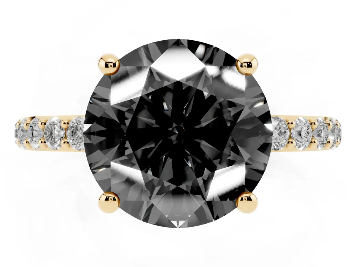 Fancy Black Round Cut Diamond Solitaire Ring with Round Pavé Band and Prong Setting Yellow gold