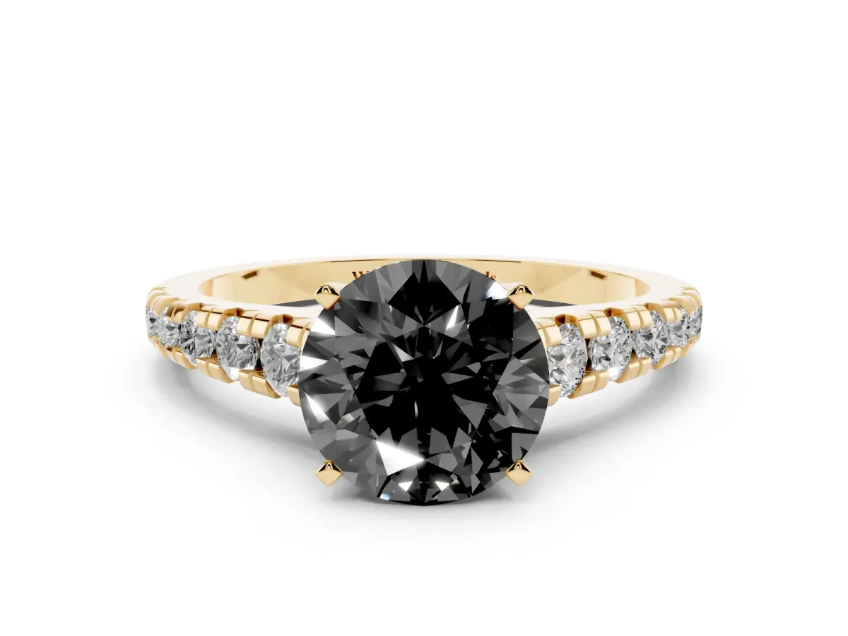 Fancy Black Round Cut Diamond Cathedral Solitaire Ring with Round Pavé Band Yellow gold