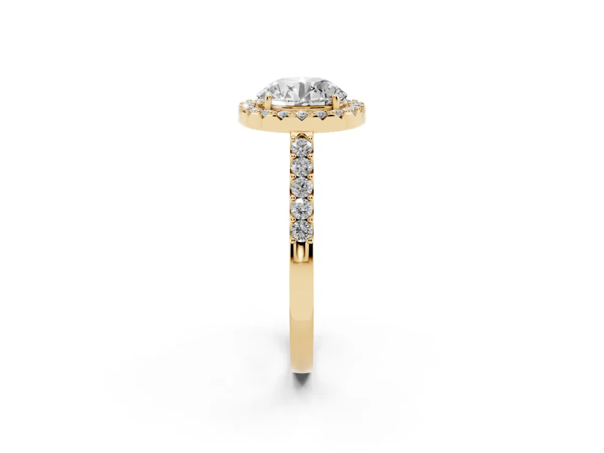 Round Cut Halo Diamond Pavé Solitaire Ring Yellow gold