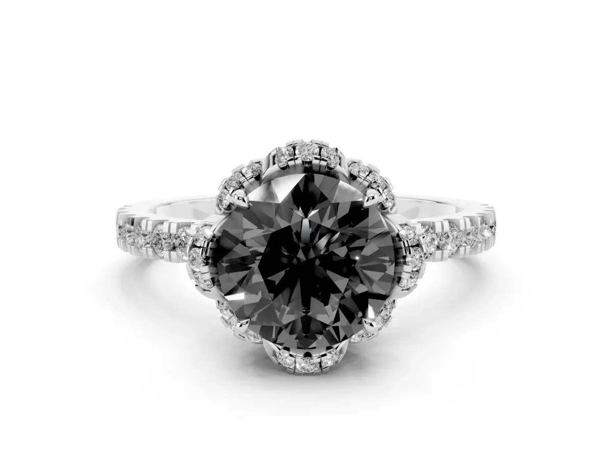 Fancy Black Round Cut Diamond Halo Pave Band with Four-Prong Setting White gold