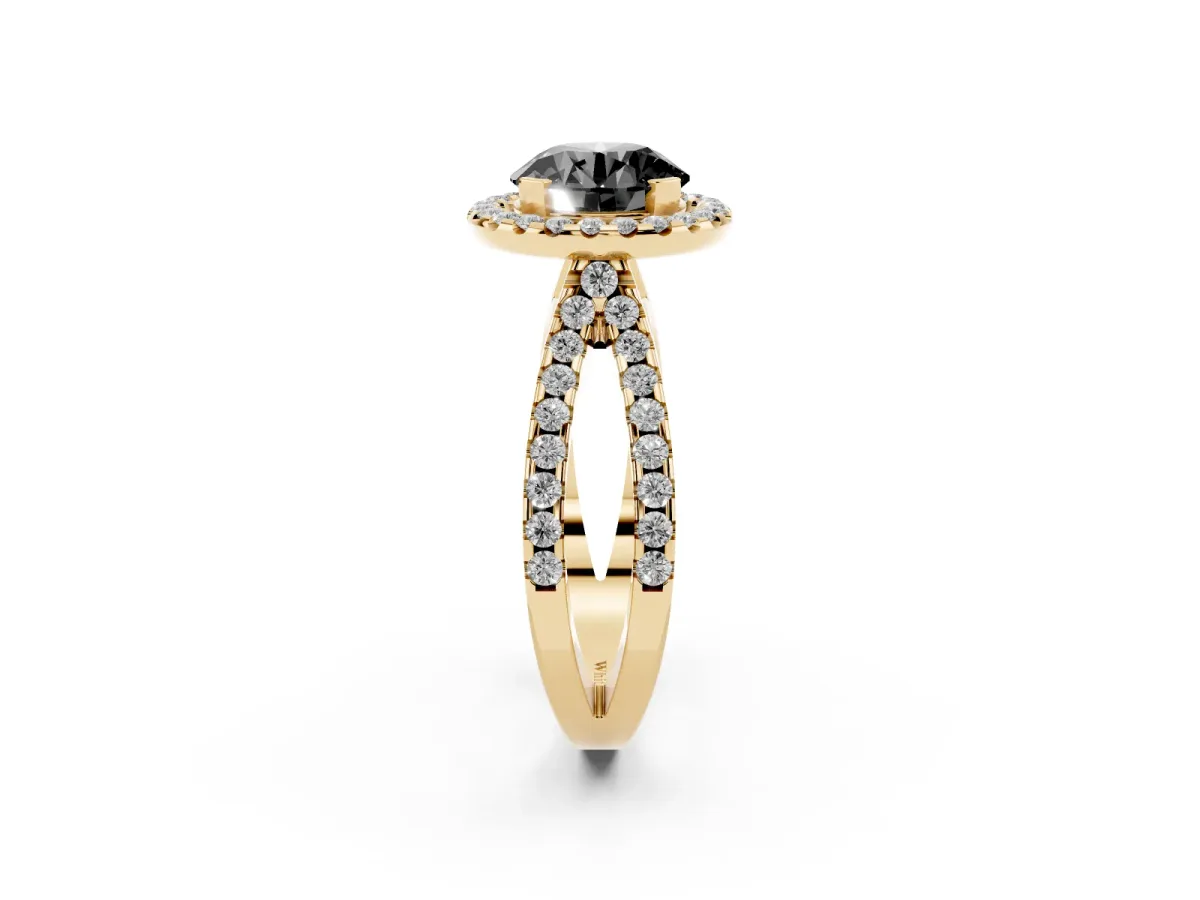 Fancy Black Round Cut Diamond Halo Ring with Split Shank Pavé Band and Prong Setting Yellow gold