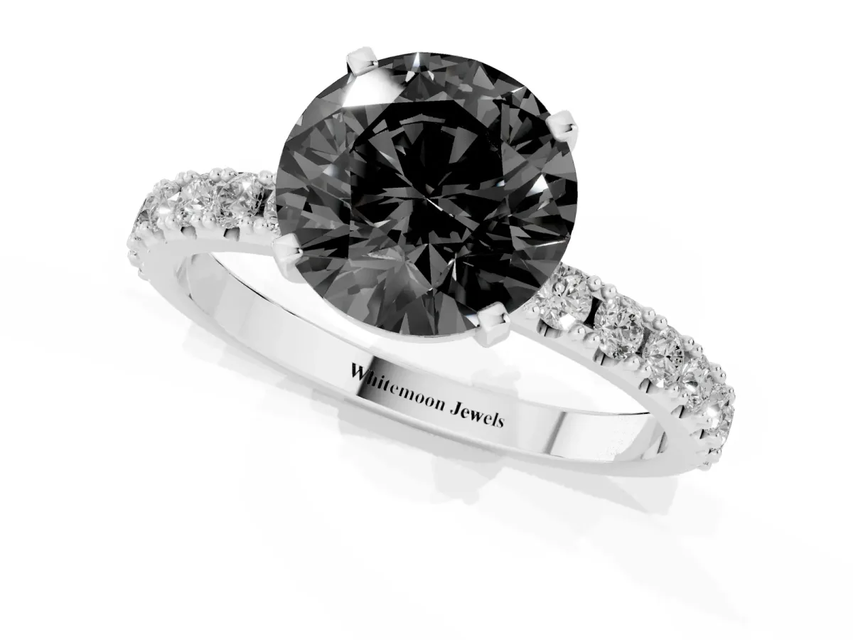 Fancy Black Round Cut Diamond Solitaire Pavé Band with Four-Prong Setting Silver