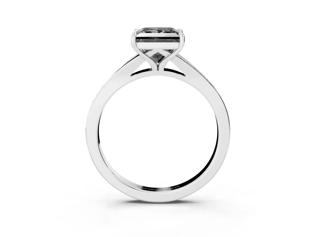 Fancy Black Princess Cut Diamond Solitaire Ring with Pavé Band and Prong Setting Silver