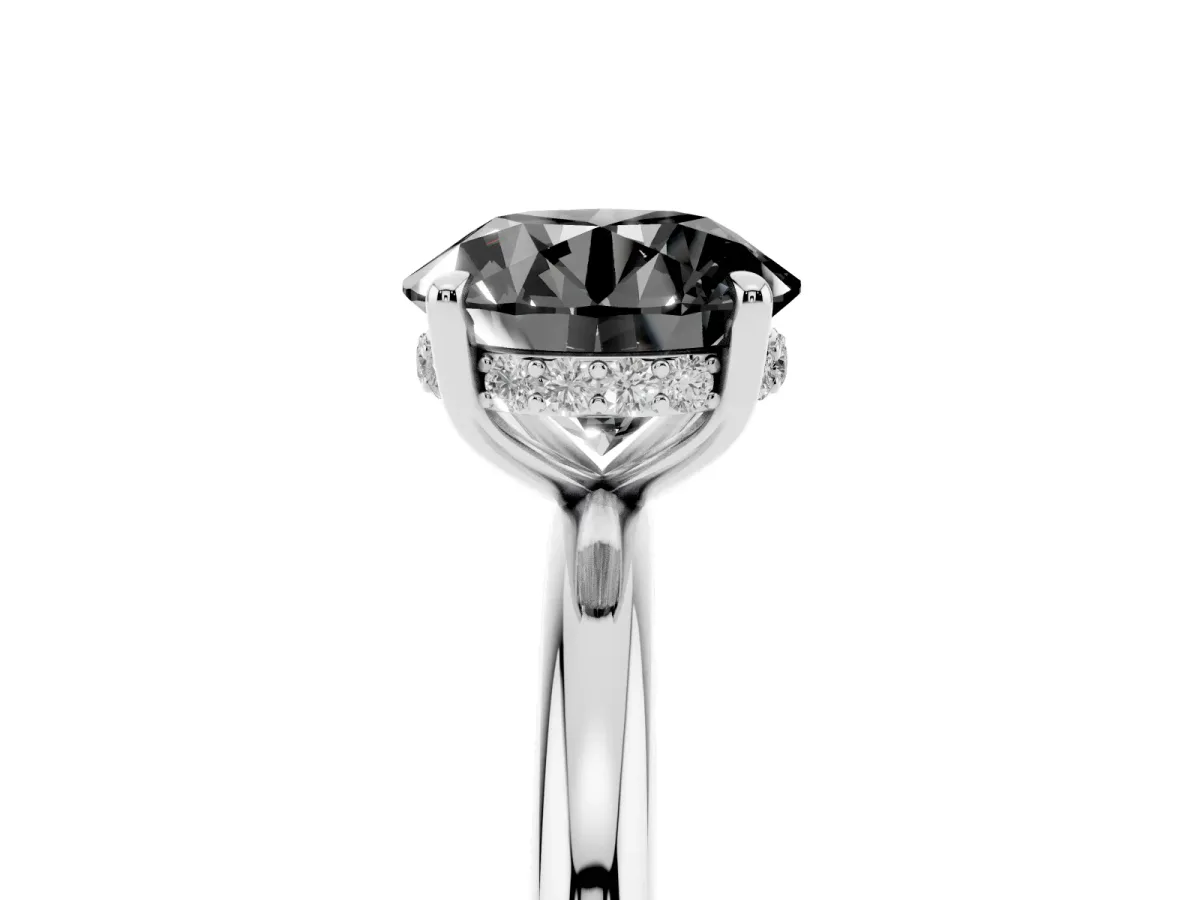 Fancy Black Round Cut Diamond Solitaire Ring with Thin Band and Four-Prong Setting Platinum