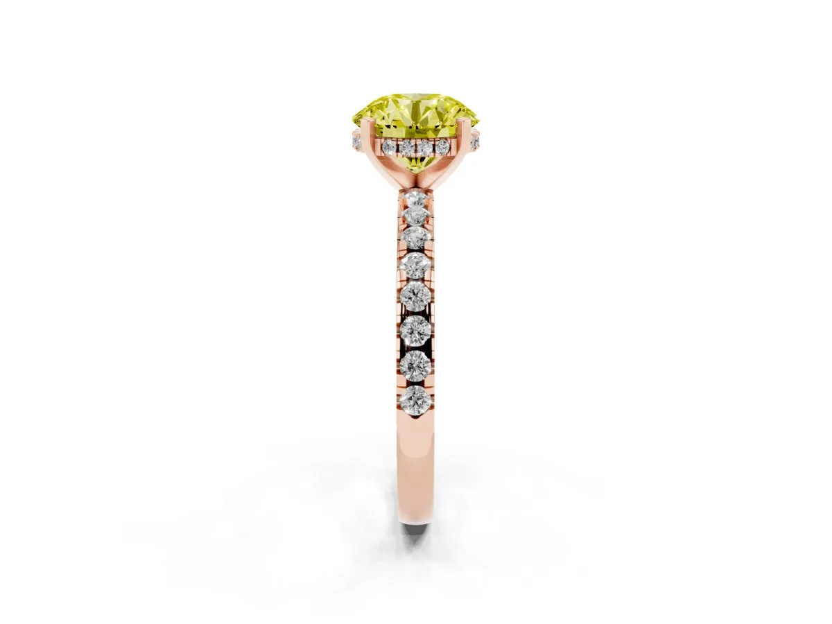 Fancy Yellow Round Cut Diamond Solitaire Ring with Round Pavé Band and Four-Prong Setting Rose gold