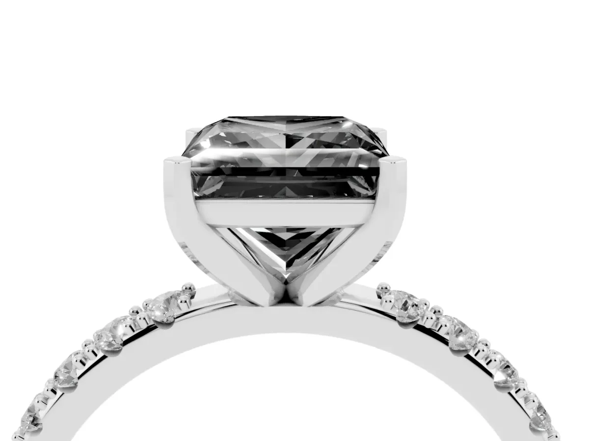 Fancy Black Princess Cut Diamond Solitaire Pavé Band with Four-Prong Setting Silver