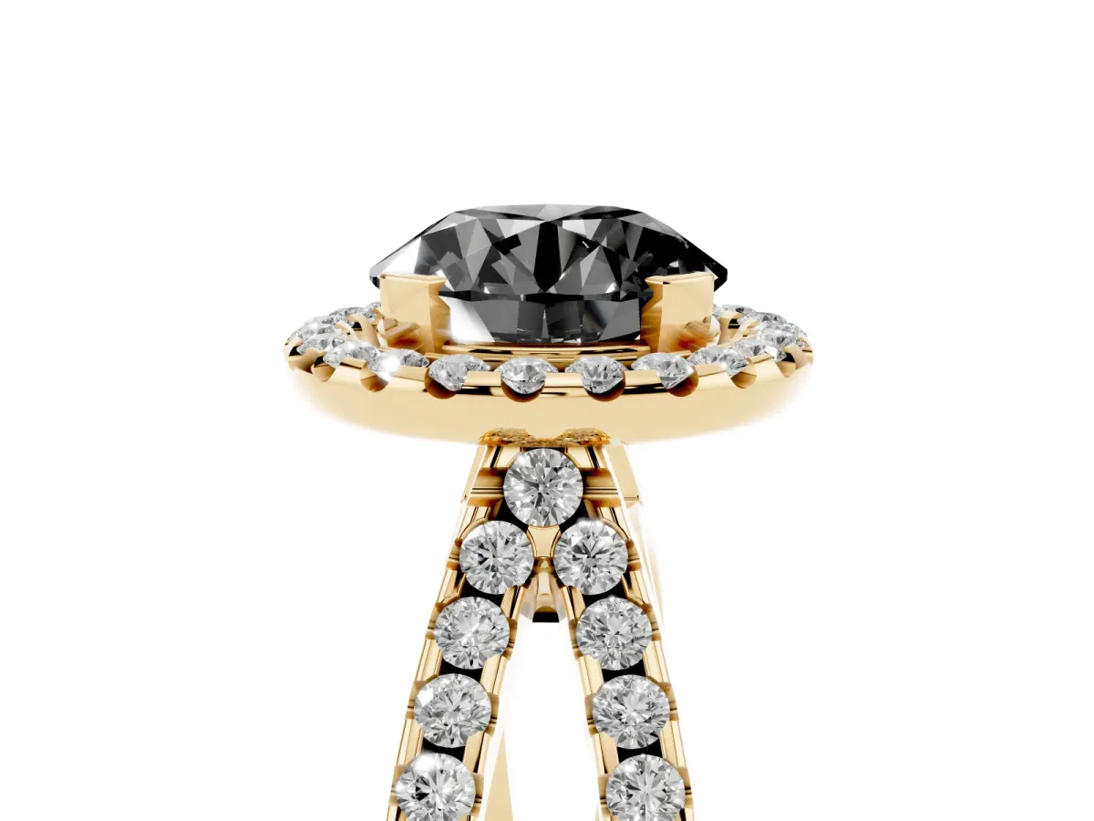 Fancy Black Round Cut Diamond Halo Ring with Split Shank Pavé Band and Prong Setting Yellow gold