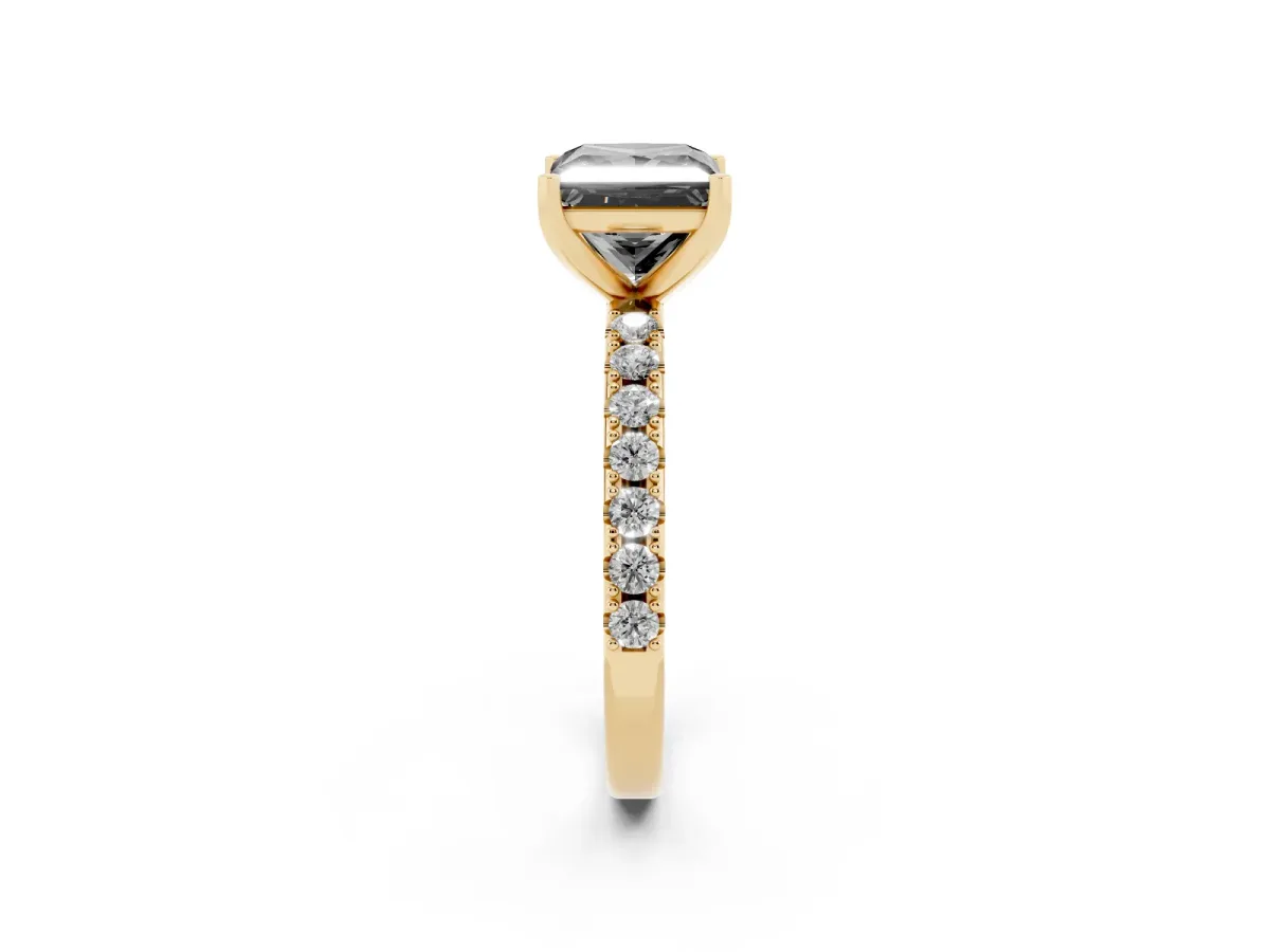Fancy Black Princess Cut Diamond Solitaire Pavé Band with Four-Prong Setting Yellow gold