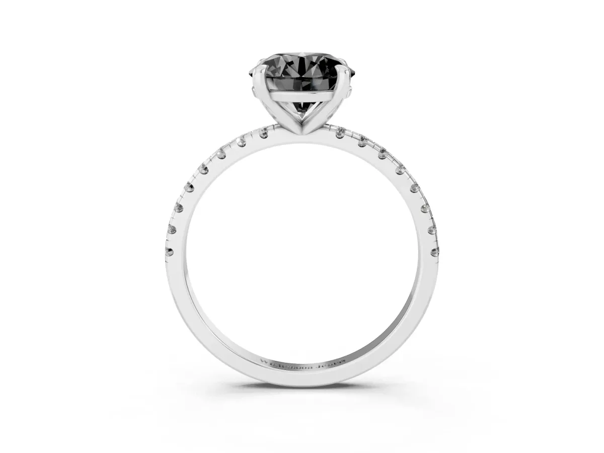Fancy Black Round Cut Diamond Brilliant Solitaire Ring with Pavé Band and Four-Prong Setting Platinum