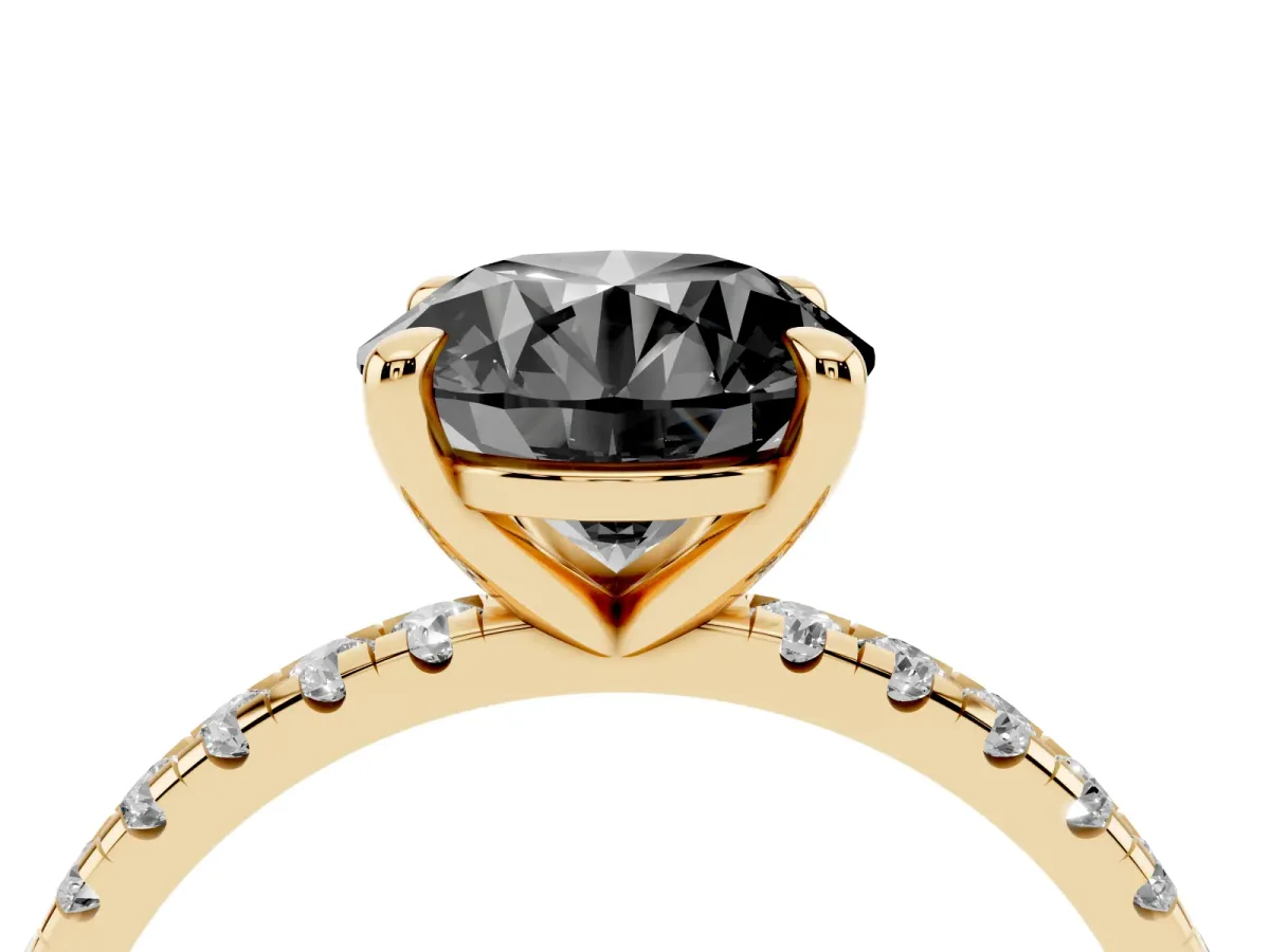 Fancy Black Round Cut Diamond Brilliant Solitaire Ring with Pavé Band and Four-Prong Setting Yellow gold