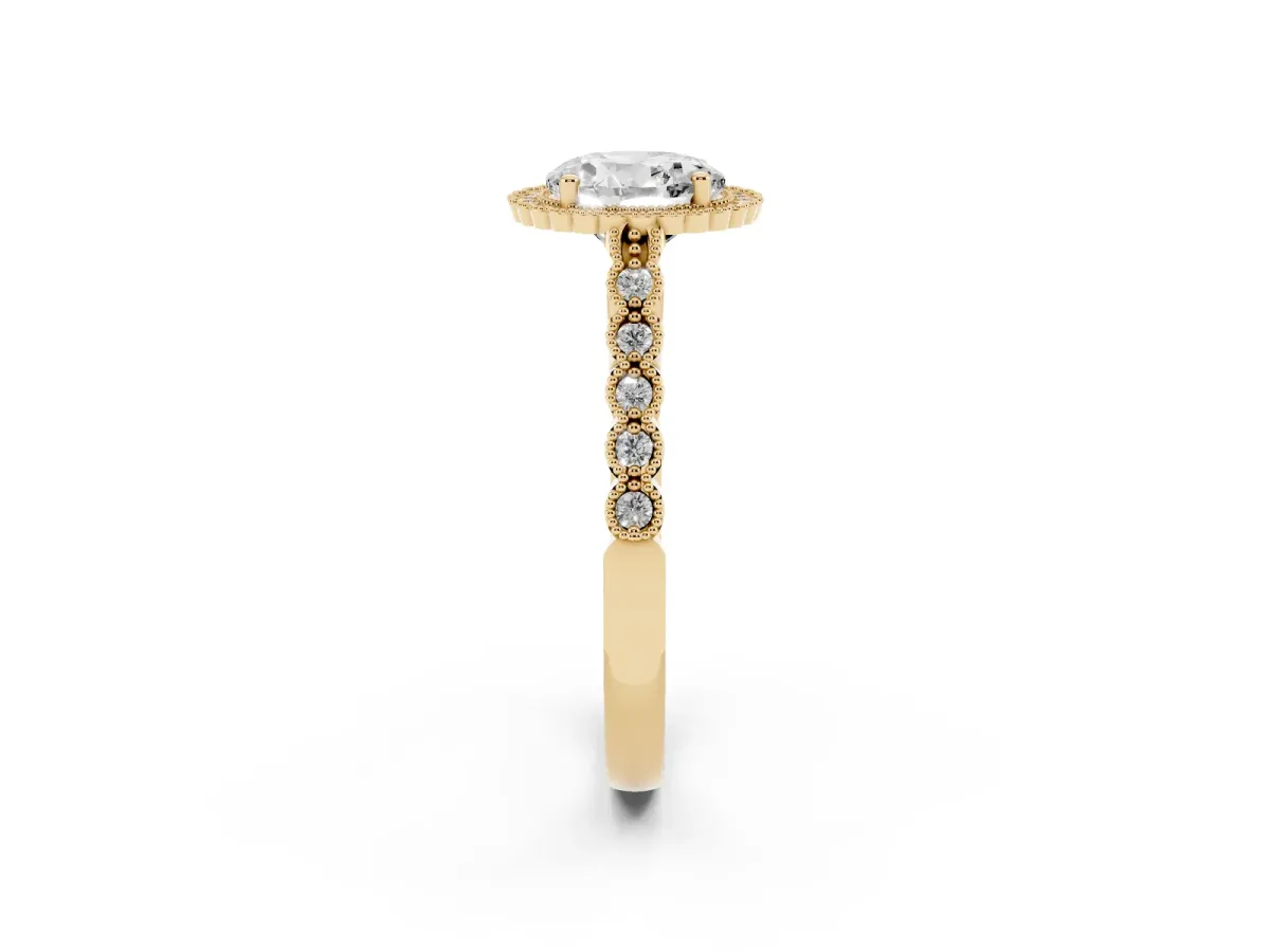 Round Cut Cut Halo Pavé Solitaire Ring with Milgrain Band Yellow gold